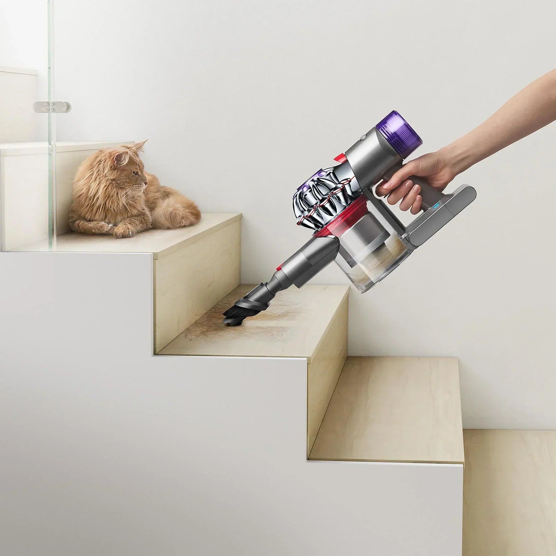 DYSON V8 (2023) Stielsauger, Akkubetrieb, 425 Watt